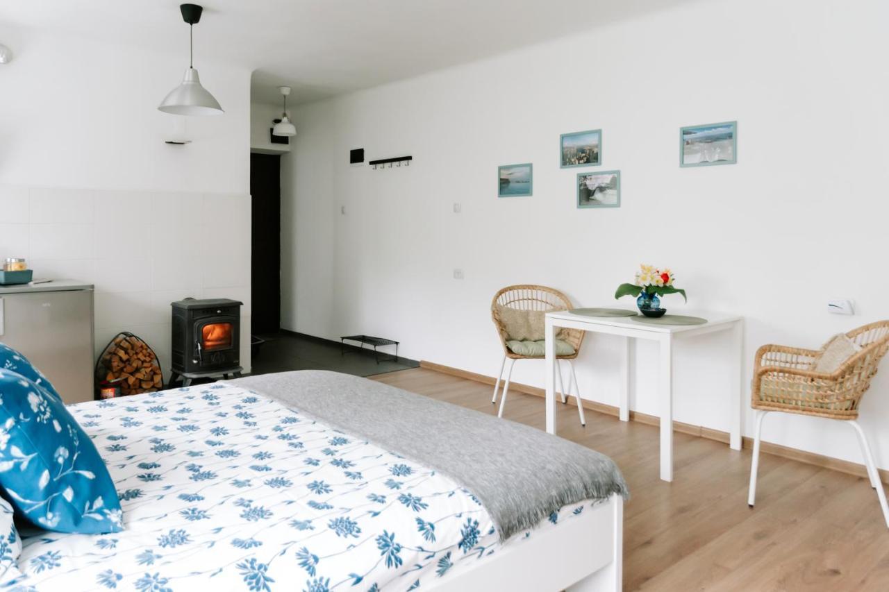 Lake Aluksne Studio Apartment Екстериор снимка